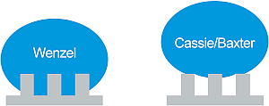 Wenzel-Baxter-Cassie