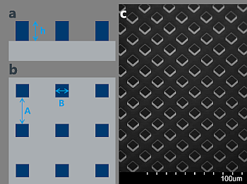 Schematic representation of microstructured sample