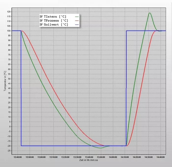 Fallstudie eines Petite Fleur Prozessumw&auml;lzers