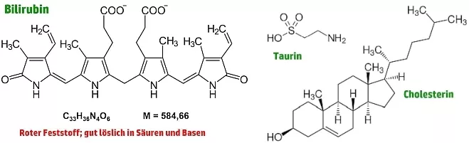Bilirubin Cholesterin