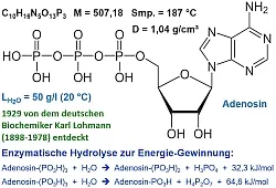 Adenintrophosphat