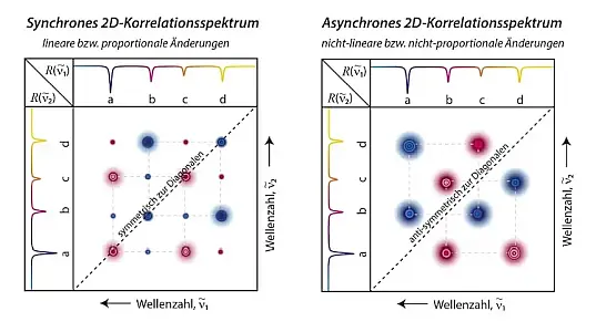 2D-Korrelationsspektrum
