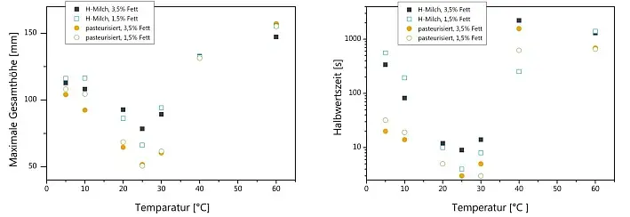 Schaumhöhe und Halbwertzeit