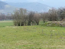 Bühler Bußmatten PFAS belastet