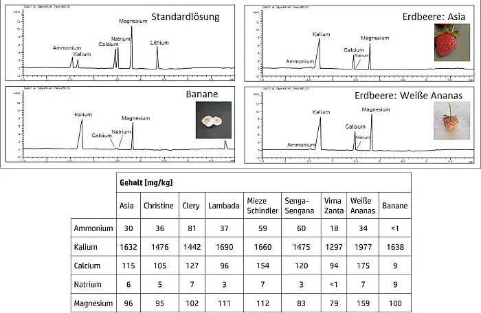 Bestimmung von Kationen in Erdbeeren