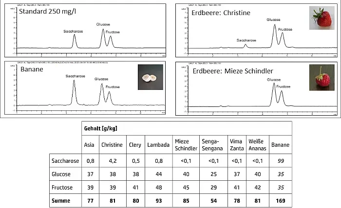 Bestimmung von Zucker in Erdbeeren