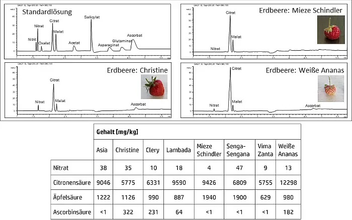 Bestimmung von Säuren in Erdbeeren