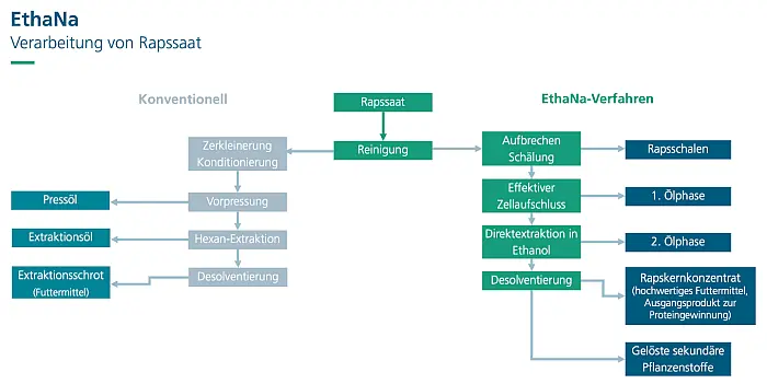 Schematische Darstellung der Verarbeitung von Raps