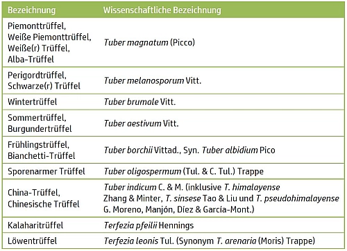 Trüffelarten in Speisepilzen