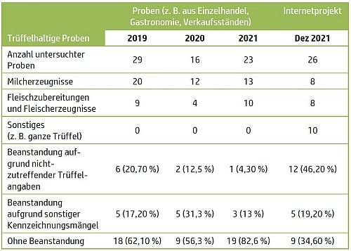 Untersuchungsergebnisse 