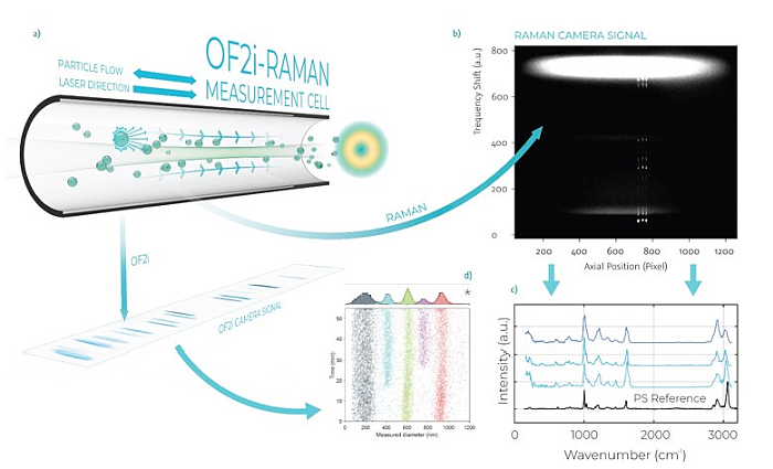 OF2i-Raman-Messung von 5 µm Polystyrol