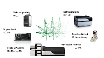 Methoden der Cannabis Analytik