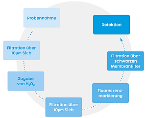 Schritte MP-Analytik