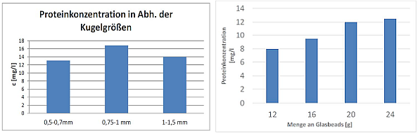 Optimierung des Zellaufschlusses 