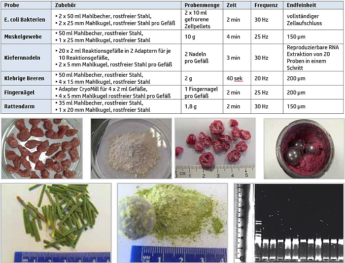 Kryogenvermahlung biologischer Proben