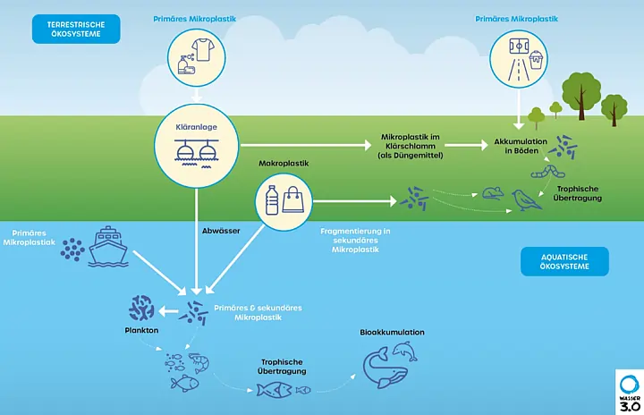 Grafik Mikroplastik in der Umwelt