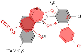 Schematische Darstellung eines AR CTAB Komplexes