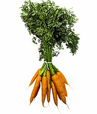 Karotten mit Grün