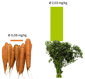 Rückstandsgehalt  Karotten unn Karottengrün