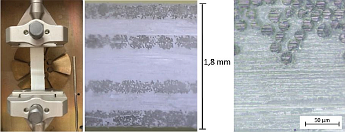 PP GF Probe im NETZSCH DMA 503 Eplexor