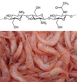 Formel Chitosan Symbolbild Garnelen